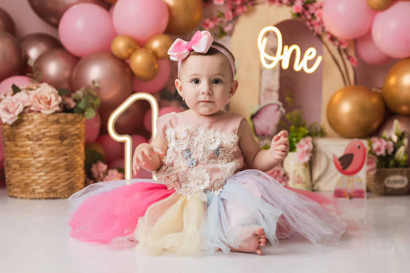 1 Ano